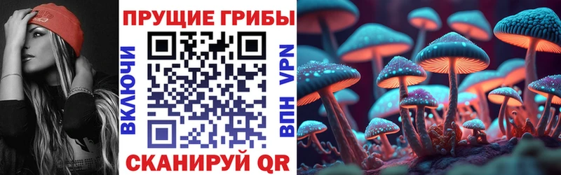 Галлюциногенные грибы Psilocybine cubensis  Купить закладки  Кадников 